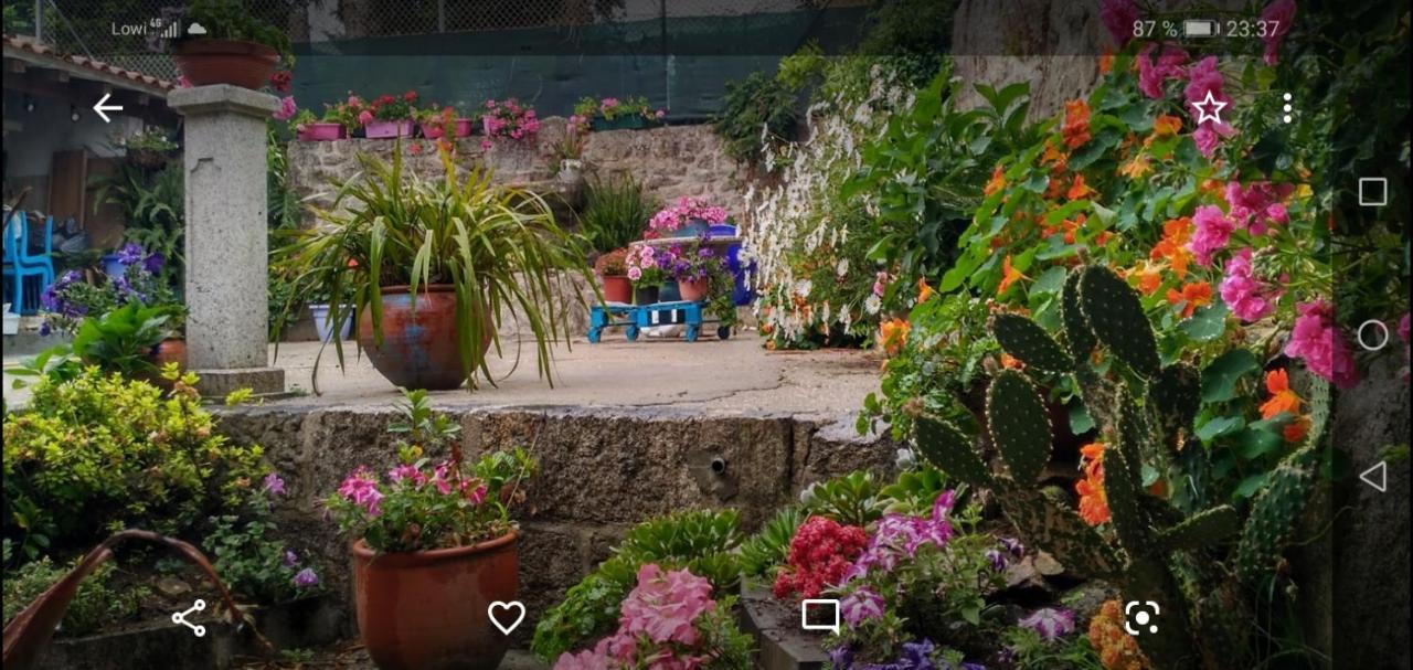 Apartamento Tui, Casa da Barca Bagian luar foto
